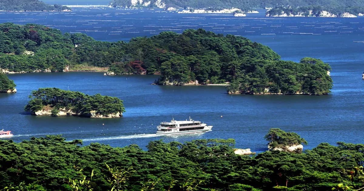 日本東北松島灣,遊船駛過松樹覆蓋的島嶼之間
